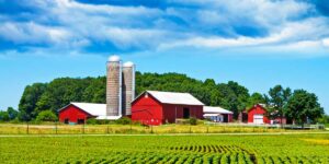 Farm Loans