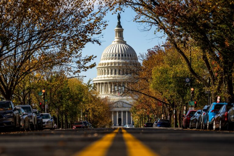 Trigger leads bill reintroduced in Congress