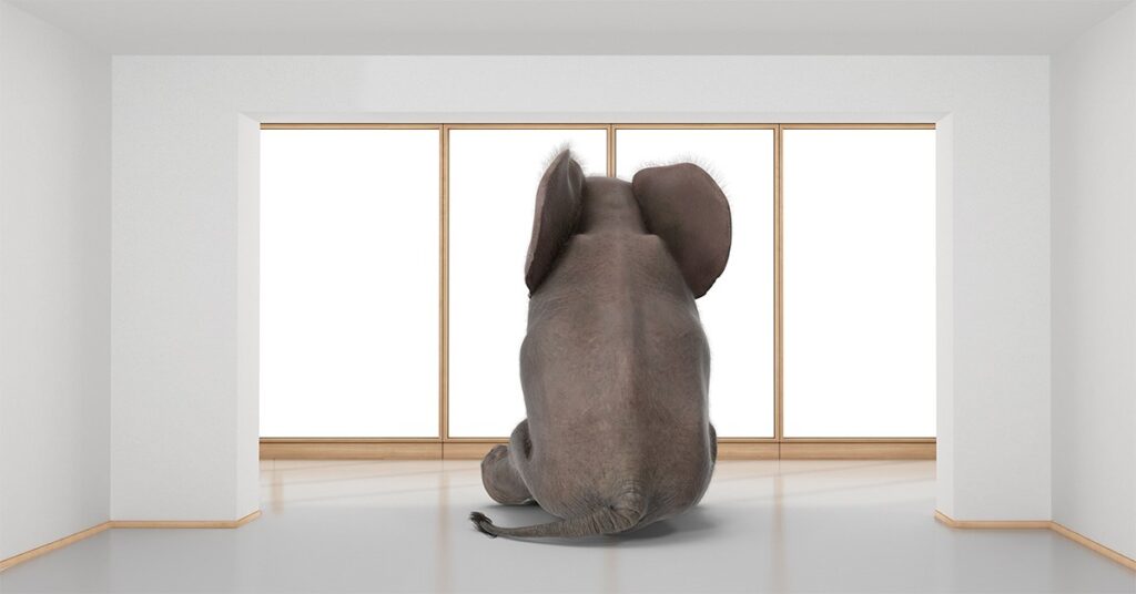 Mortgage Bankers Association head addresses ‘elephant in the room’ at MBA conference in New York City