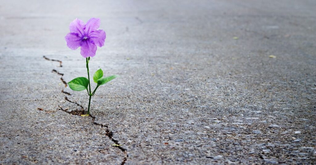 March mortgage rate locks saw non-QM and government loans gain market share at the expense of conforming products.