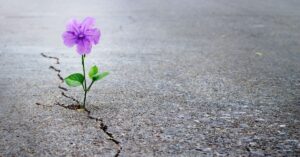 March mortgage rate locks saw non-QM and government loans gain market share at the expense of conforming products.