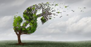 Concentration risk emerging among newer vintage loans, FHA borrowers.
