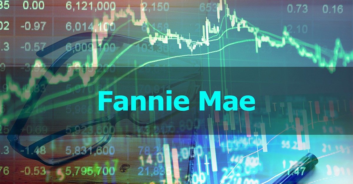 Fannie Mae earnings decline