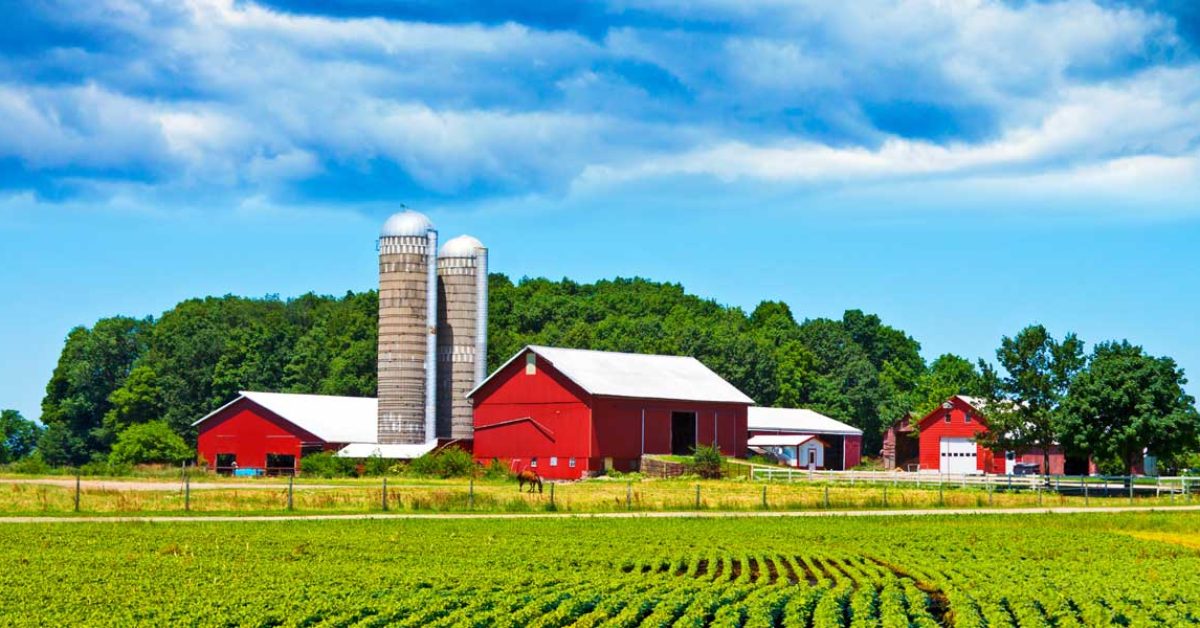Farm Loans